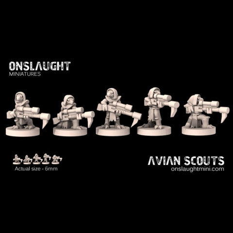 Avian Scouts