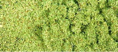 GM101 Scatter - Meadow Green (50g)
