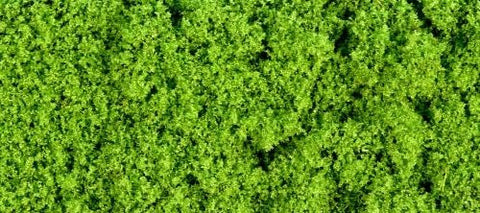 GM150 30g Fine light green foliage