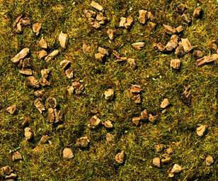 GM174 Static Grass/Flock - Woodland Floor & Grass 30g