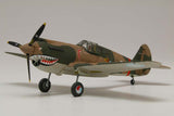 Curtiss Hawk 81-A-2 1:72 - A01003