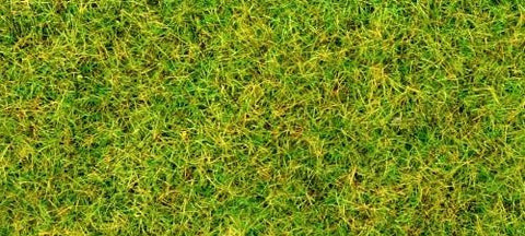 GM170 Static Grass/Flock - Spring grass 30g