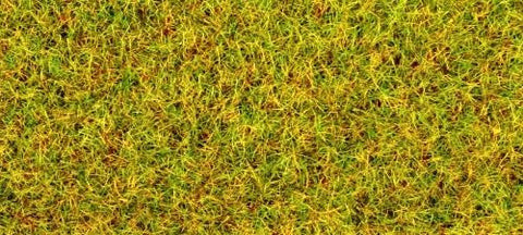 GM171 Static Grass/Flock - Summer grass 30g