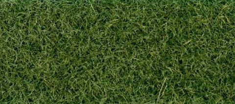 GM172 Static Grass/Flock - Moorland grass 30g